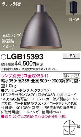 洛電市庭とは?
