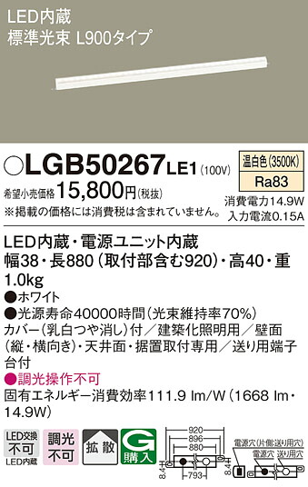 洛電市庭とは?