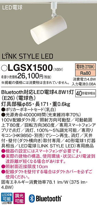 洛電市場とは?