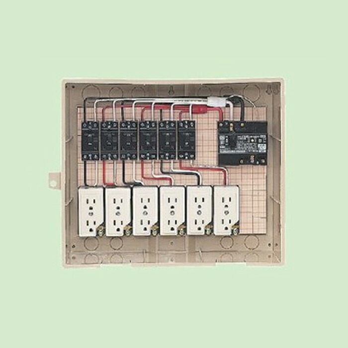 洛電市場とは?