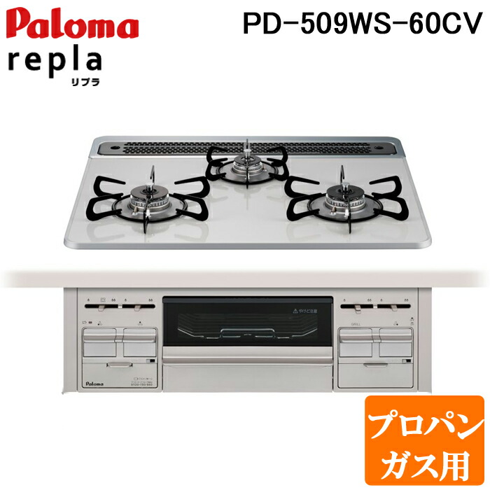 洛電市場とは?