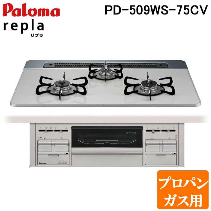 洛電市場とは?