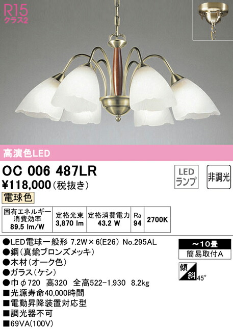 洛電市庭とは?