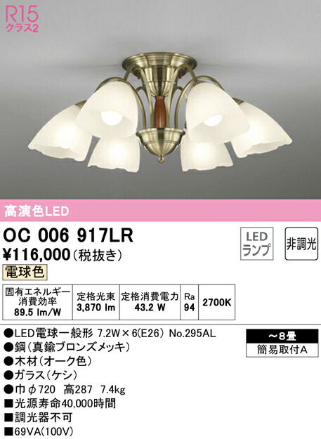 洛電市庭とは?