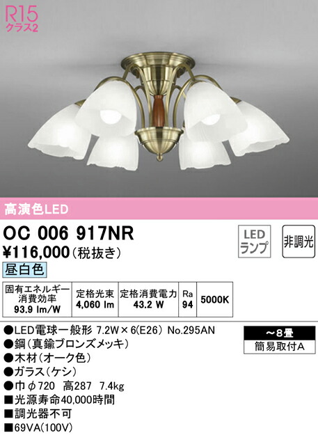 洛電市庭とは?