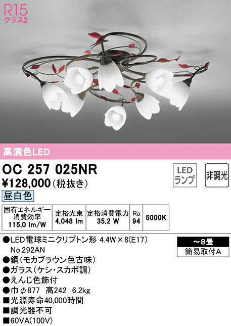 洛電市庭とは?