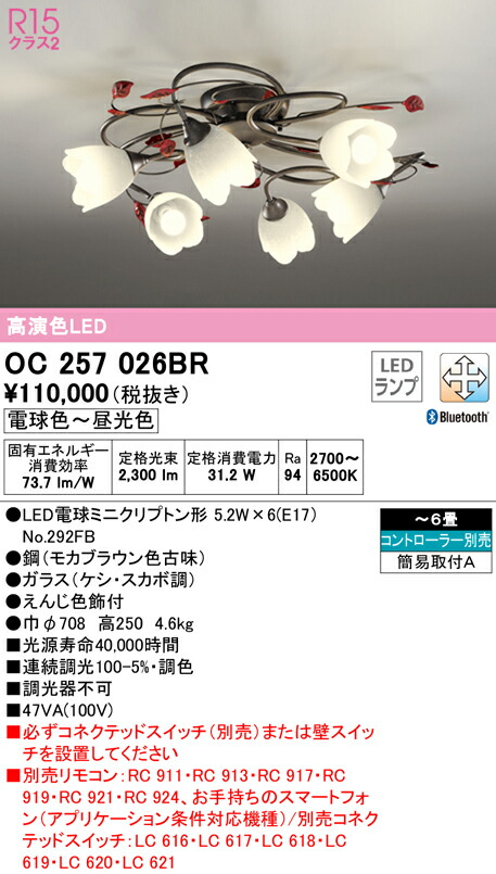 洛電市庭とは?