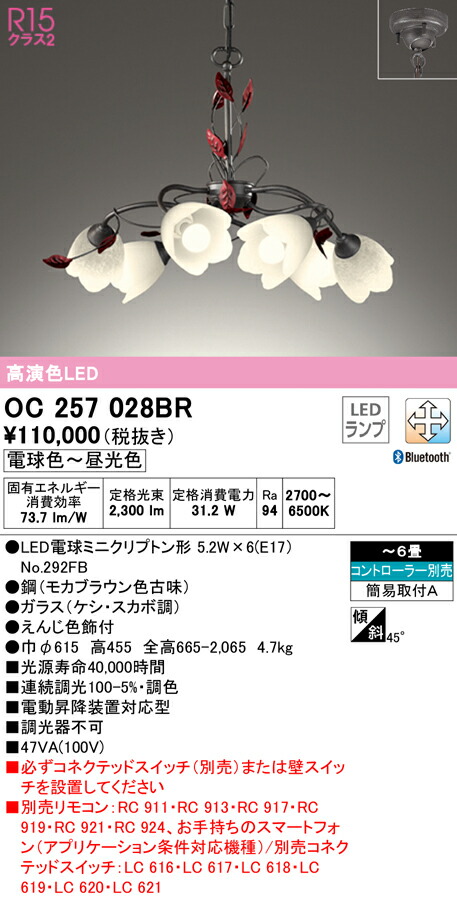 洛電市庭とは?