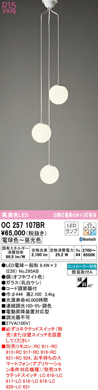洛電市場とは?