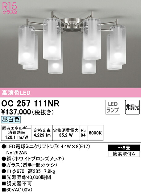 洛電市庭とは?
