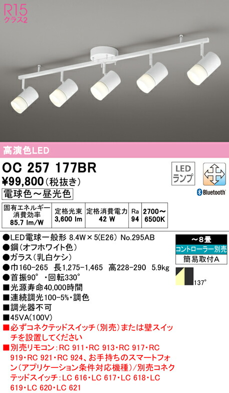 洛電市庭とは?