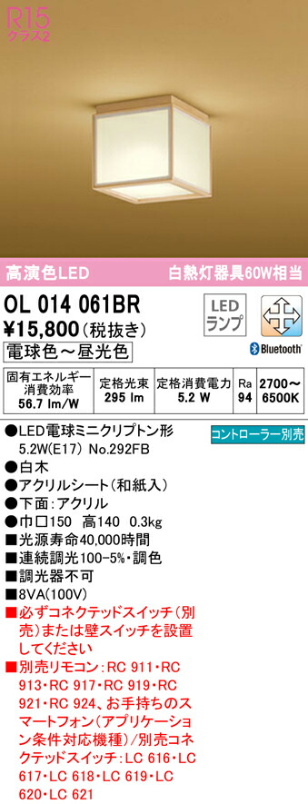 洛電市場とは?