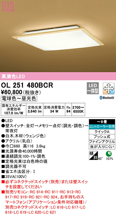 洛電市庭とは?
