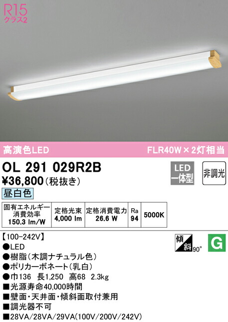 洛電市場とは?