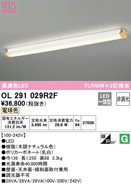 洛電市場とは?