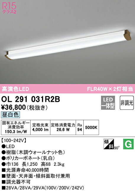 洛電市場とは?