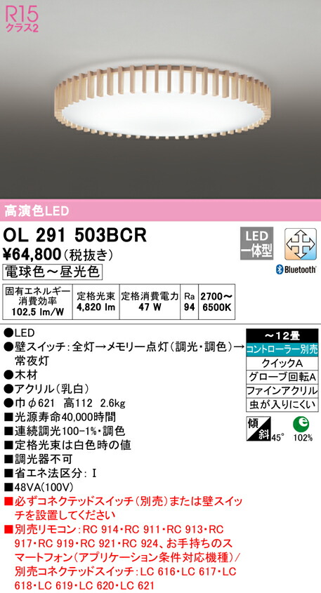 洛電市庭とは?