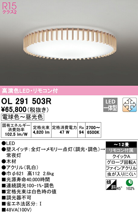 洛電市庭とは?