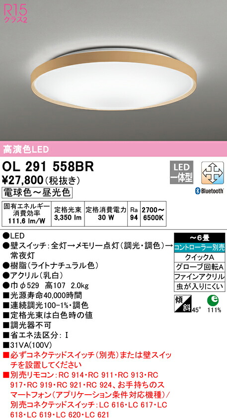洛電市場とは?
