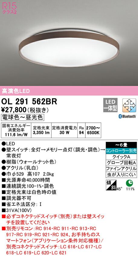 洛電市場とは?
