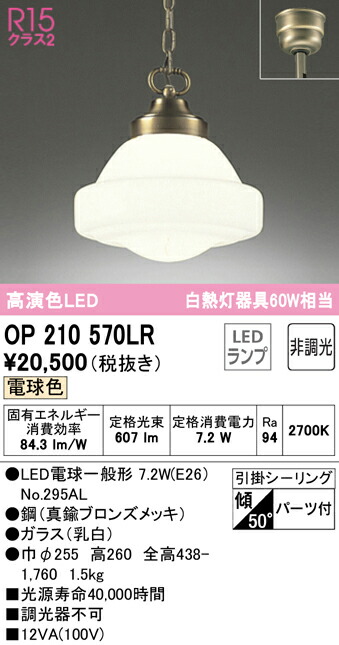 洛電市場とは?