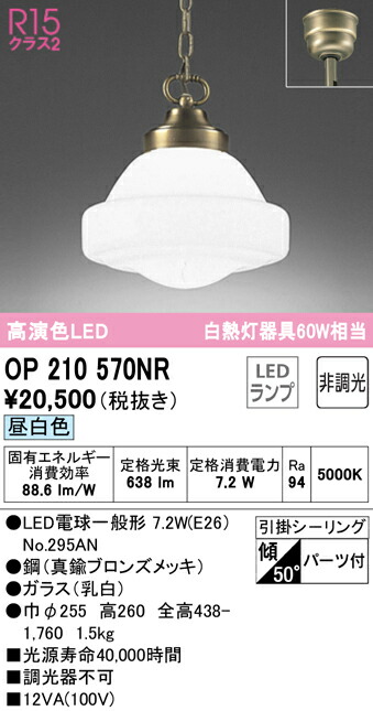 楽天市場】(11/1は抽選で100％ポイント還元!要エントリー)(送料無料