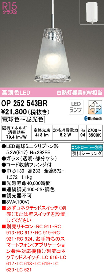洛電市場とは?