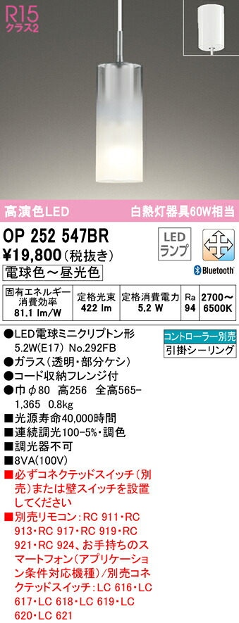 洛電市場とは?
