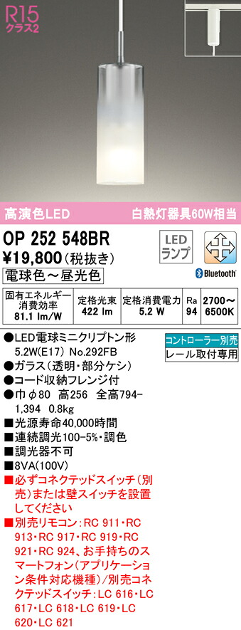 洛電市場とは?