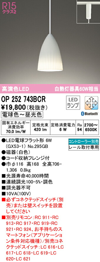 洛電市場とは?