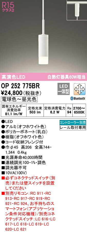 洛電市場とは?