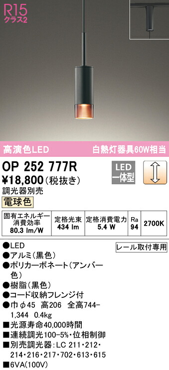 洛電市庭とは?