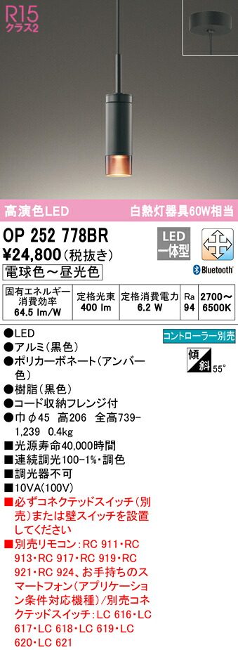 洛電市場とは?
