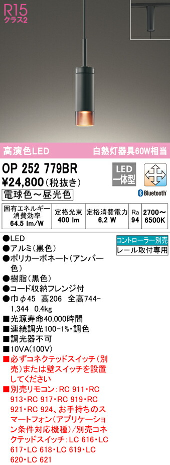 洛電市場とは?