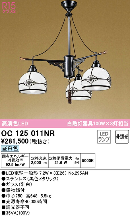 洛電市庭とは?