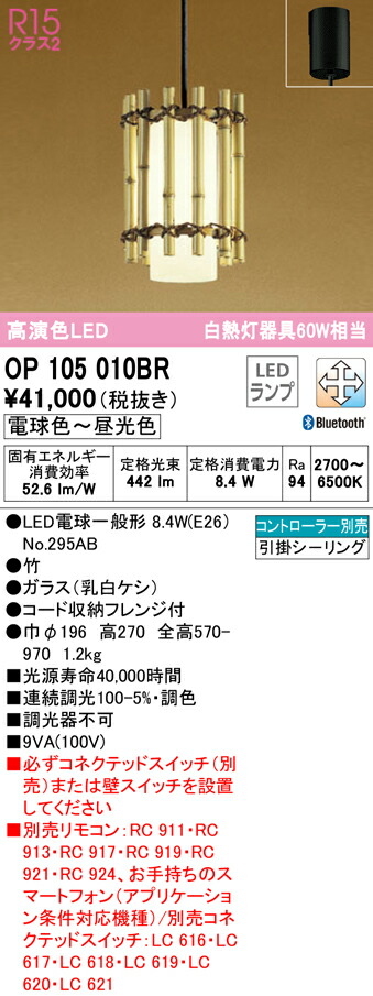 洛電市場とは?