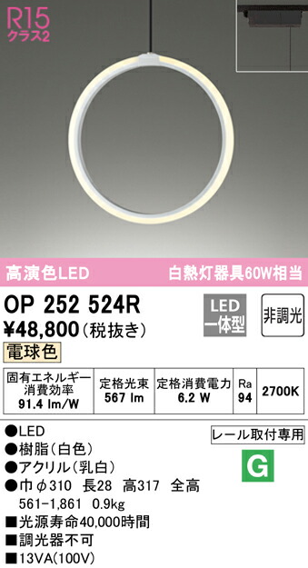 洛電市場とは?