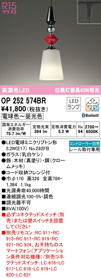 洛電市場とは?