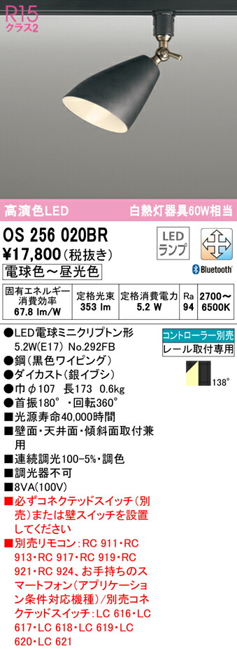 洛電市庭とは?