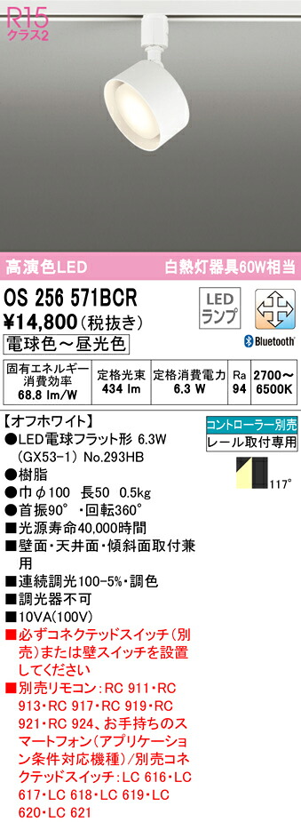 洛電市場とは?