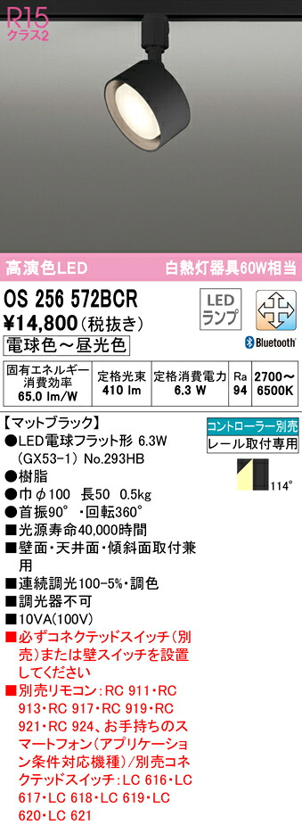 洛電市場とは?