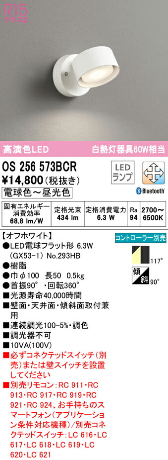 洛電市場とは?