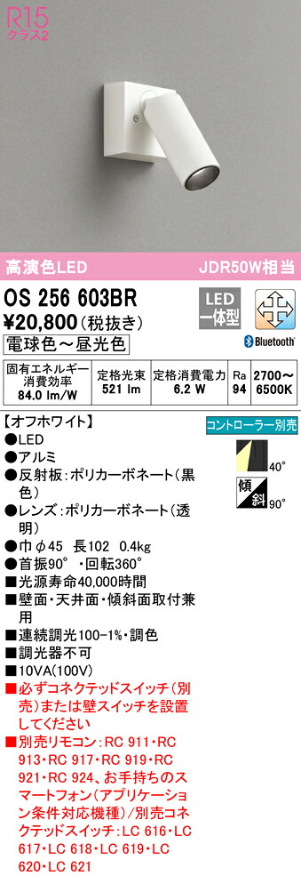 洛電市場とは?