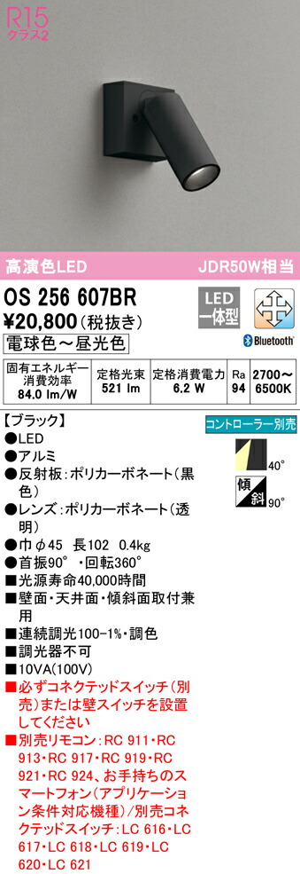 洛電市場とは?