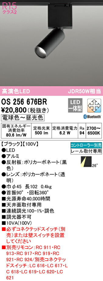 洛電市場とは?