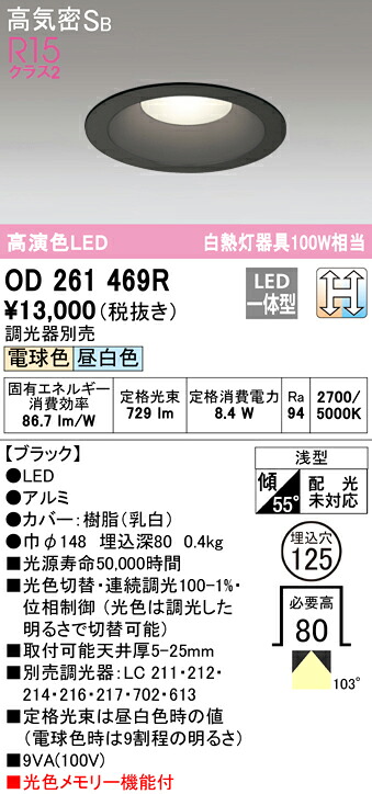 洛電市庭とは?