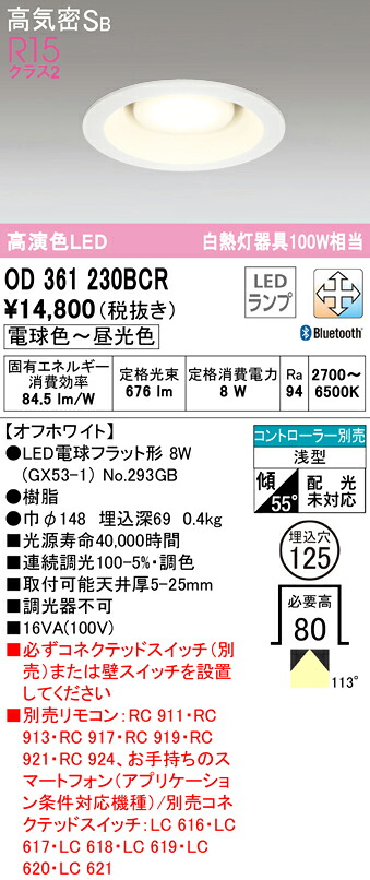 洛電市庭とは?