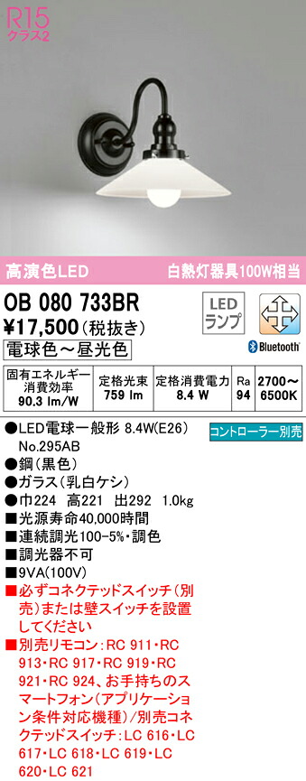 洛電市場とは?