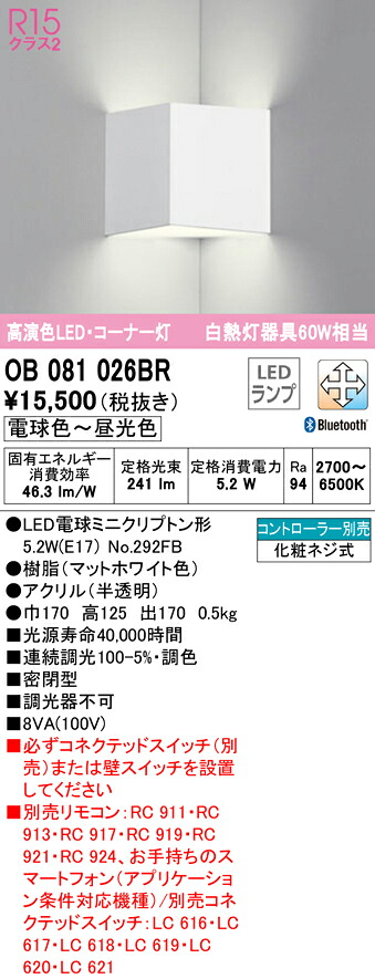 洛電市庭とは?
