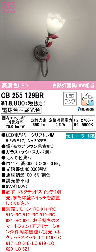 洛電市場とは?